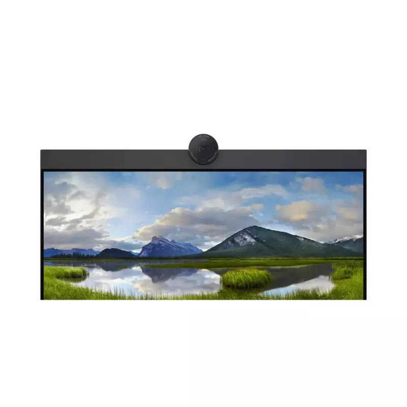 DELL P2424HEB 60,5 cm (23,8 pollici) LCD 1920 x 1080 pixel Full HD