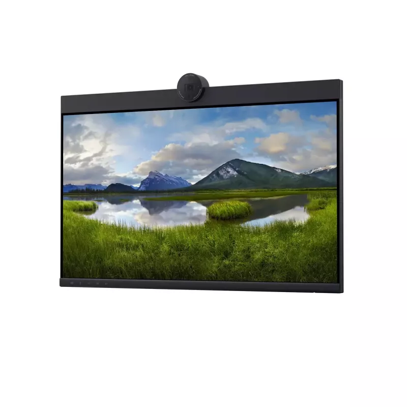 DELL P2424HEB 60,5 cm (23,8 pollici) LCD 1920 x 1080 pixel Full HD