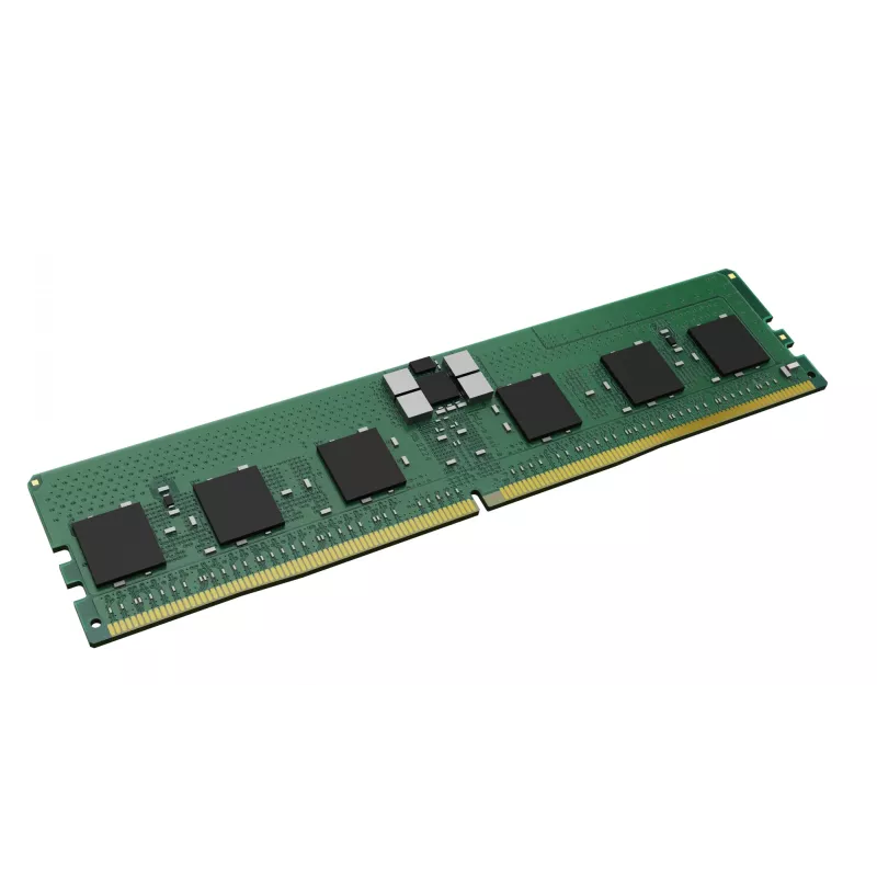 Kingston - DDR5 - modulo - 24GB - DIMM 288-PIN - 5600 MHz / PC5-44800 - CL46 registrato - ECC (KSM56R46BS8PMI-24MBI)