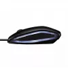 CHERRY GENTIX MOUSE CON FILO ILLUMINATO, nero, USB, ambidestro, ottico, USB Type-A, 1000 DPI, nero