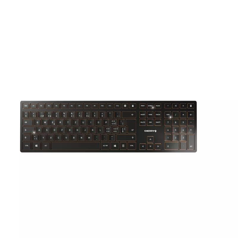 CHERRY DW 9100 SLIM tastiera mouse inclusi universale RF Wireless + Bluetooth QWERTZ svizzero nero