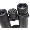 Braun Compagno 8 x 34 WP binocolo BAK-4 tetto nero
