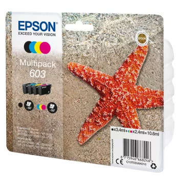 Epson C13T03U64020 cartuccia d'inchiostro 1 pz. originale standard nero, ciano, magenta, giallo