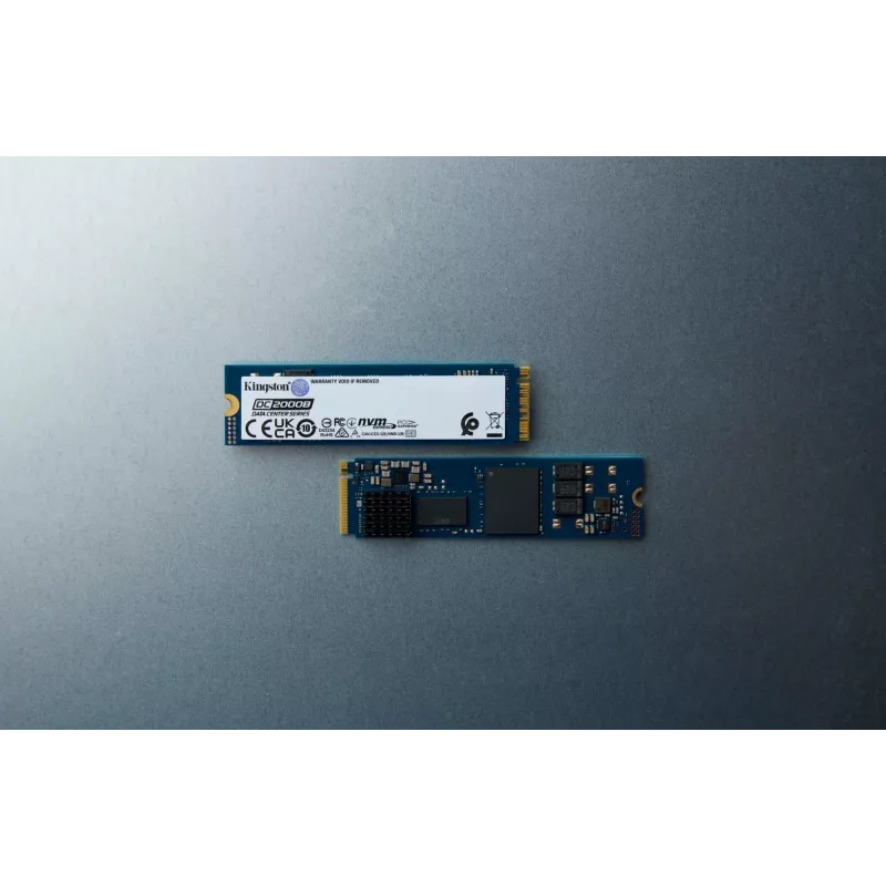 Kingston Technology 960G DC2000B PCIe 4.0 M.2 2280 SSD Enterprise