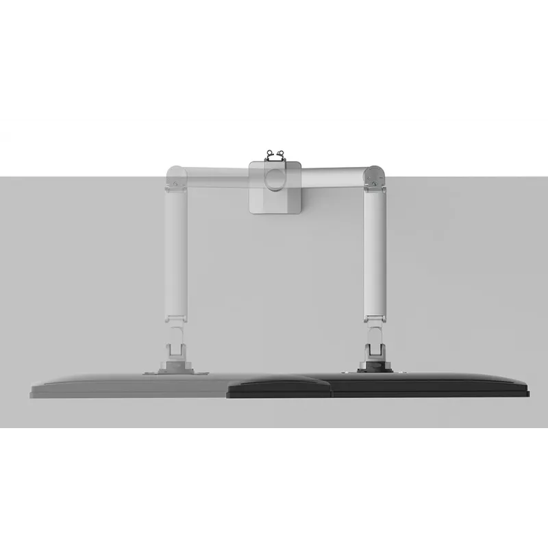 Neomounts DS70-250SL1 braccio per monitor 17-35
