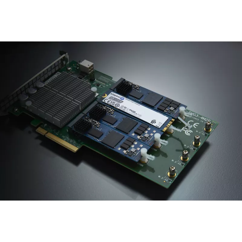 Kingston Technology 480G DC2000B PCIe 4.0 M.2 2280 SSD Enterprise