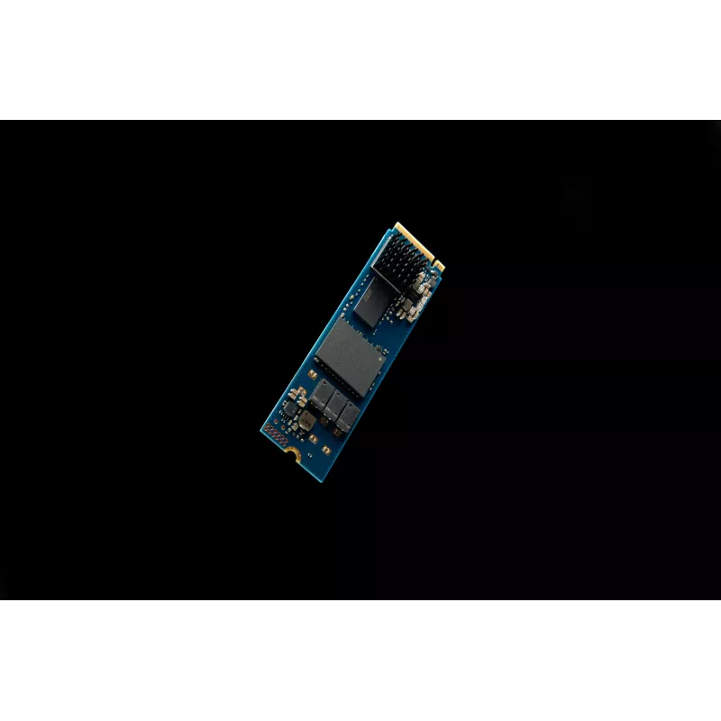 Kingston Technology 240G DC2000B PCIe 4.0 M.2 2280 SSD Enterprise