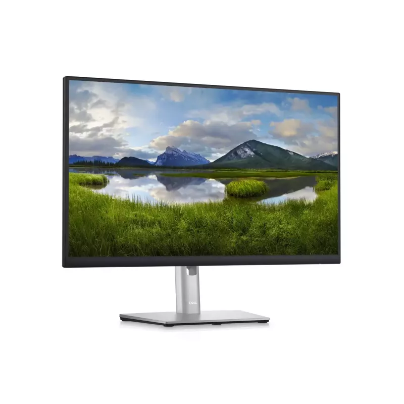Monitor DELL P2423D 23,8 pollici LCD Quad HD 2560 x 1440