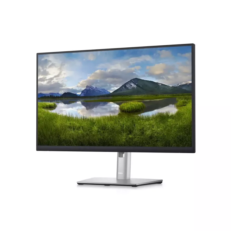 Monitor DELL P2423D 23,8 pollici LCD Quad HD 2560 x 1440