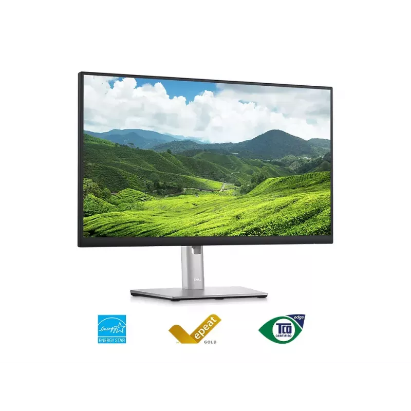 Monitor DELL P2423D 23,8 pollici LCD Quad HD 2560 x 1440