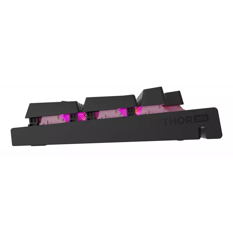 GENESIS NKG-2179 tastiera gaming USB QWERTZ tedesco nero