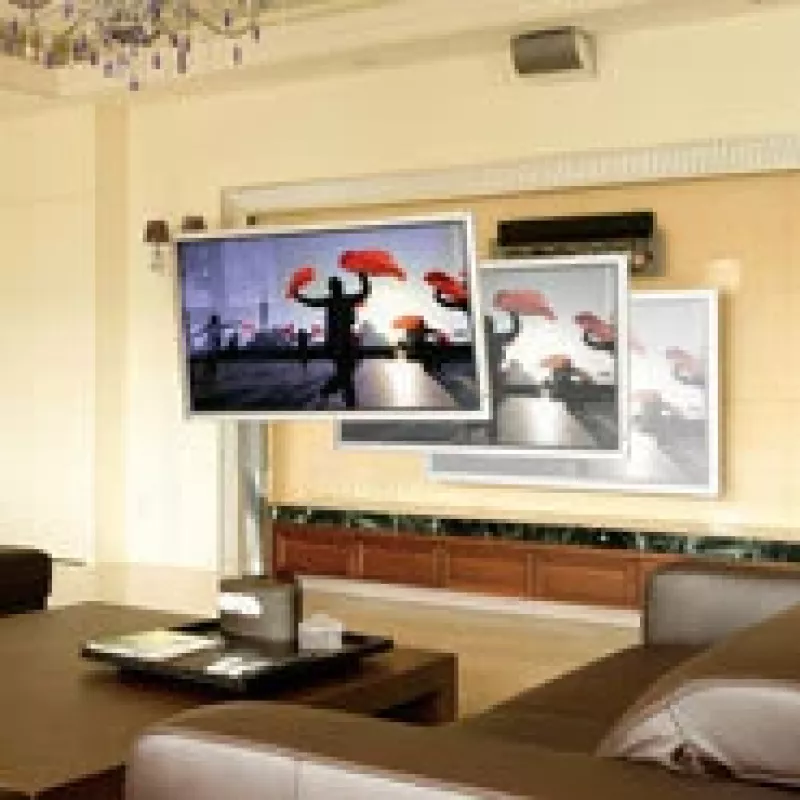 ERGOTRON Interactive Arm Hd (alluminio lucido)