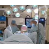 ERGOTRON Interactive Arm Hd (alluminio lucido)
