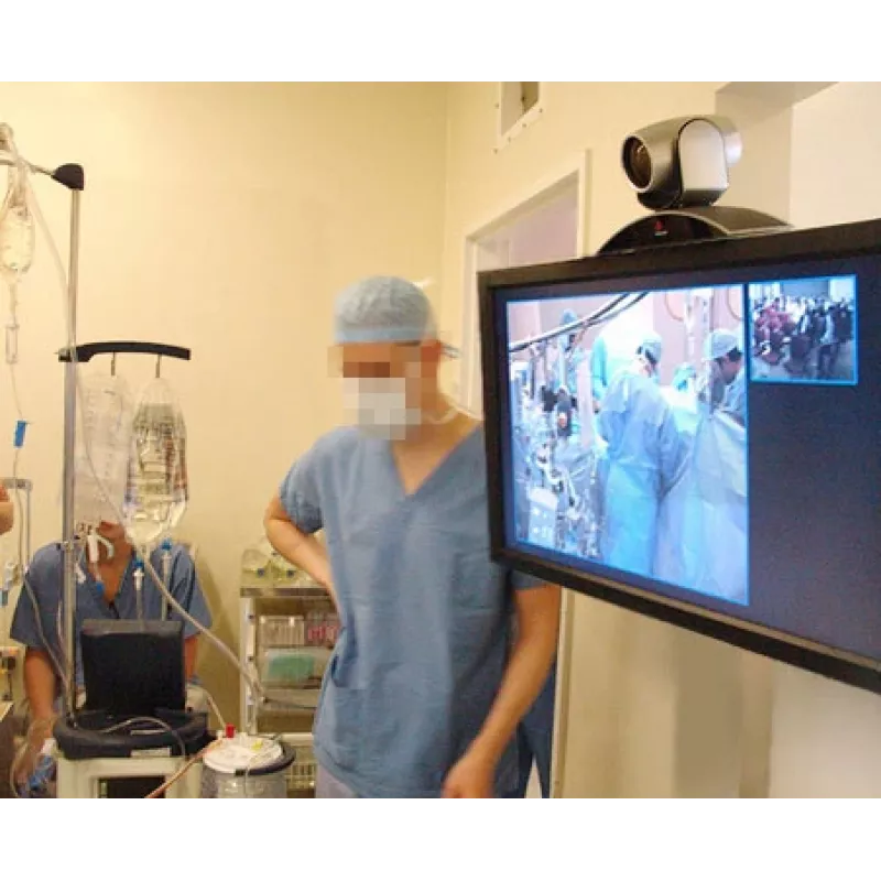 ERGOTRON Interactive Arm Hd (alluminio lucido)