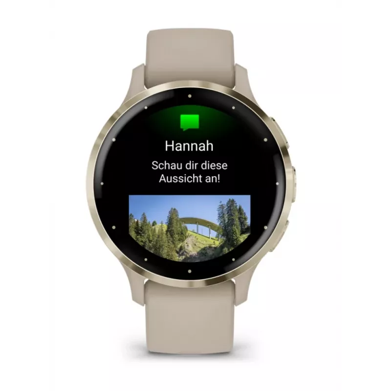 GARMIN INTERNATIONAL Venu 3S - 41 mm - smartwatch con cinturino - francese - grigio