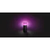 Philips Hue White and colour ambience Calla lampada da terra per esterni