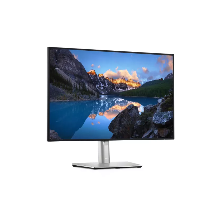DELL UltraSharp U2421E Monitor per computer 61,2 cm (24,1