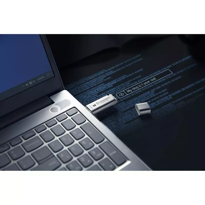 Kingston Technology IronKey 128GB IKLP50 USB con crittografia a 256 bit