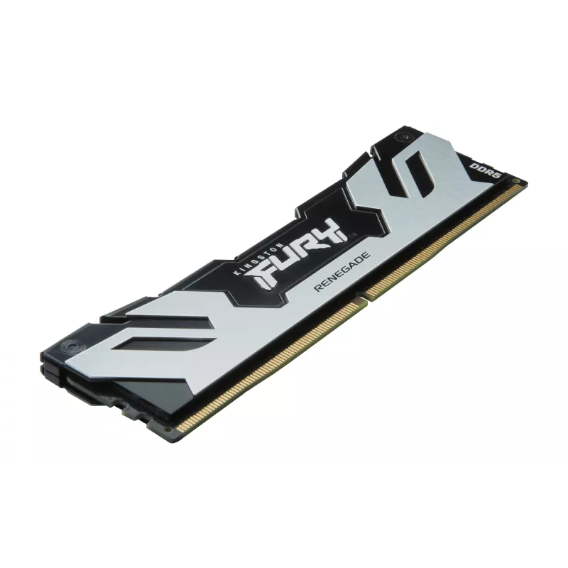 Kingston Technology FURY 32GB 6400MT/s DDR5 CL32 DIMM (Kit da 2) Renegade Silver