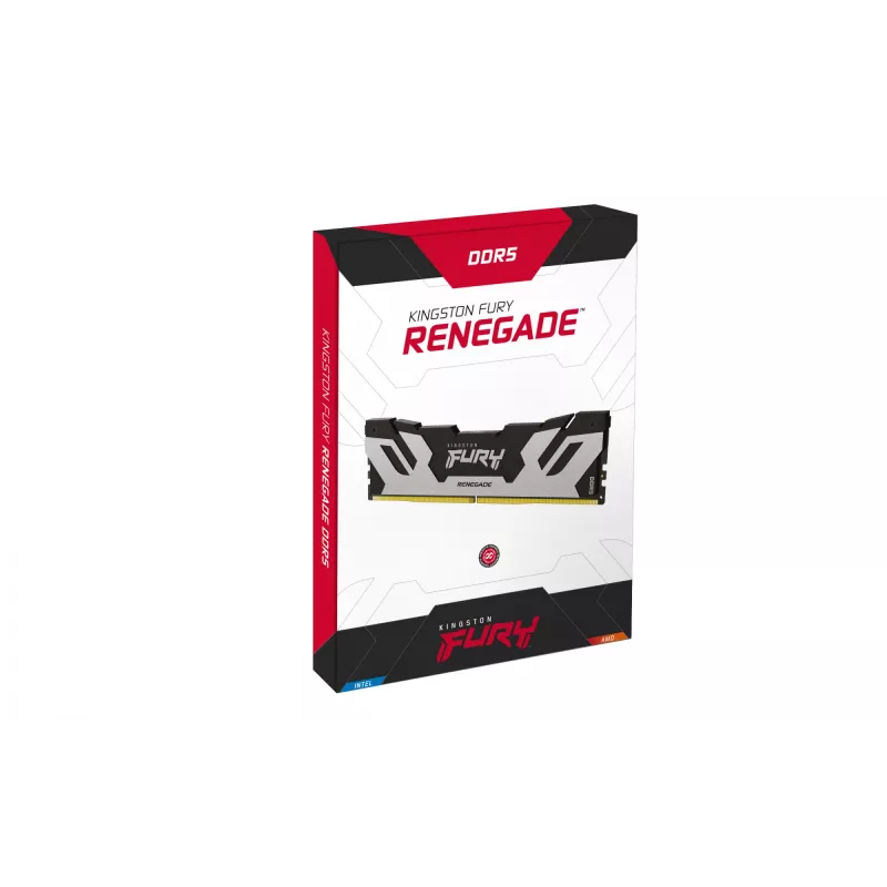 Kingston Technology FURY 48 GB 6400 MT/s DDR5 CL32 DIMM Renegade Silver XMP