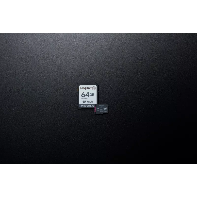 Kingston Technology 64 GB SDXC memoria flash industriale UHS-I pSLC
