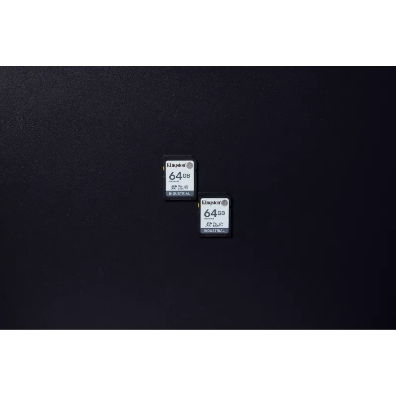 Kingston Technology 64 GB SDXC memoria flash industriale UHS-I pSLC