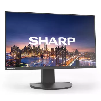 Monitor per computer Sharp MultiSync EA242F 24 pollici Full HD 1920 x 1080 LCD nero