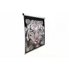 Schermo di proiezione Elite Screens M113UWS1