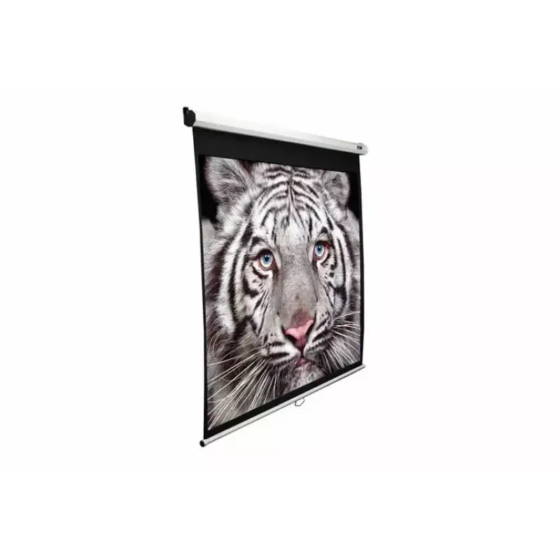 Schermo di proiezione Elite Screens M113UWS1