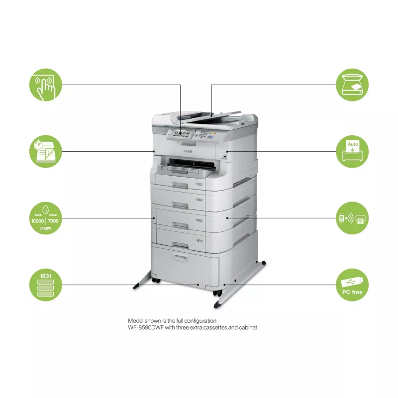 Cartuccia d'inchiostro XXL Epson C13T869240 ciano