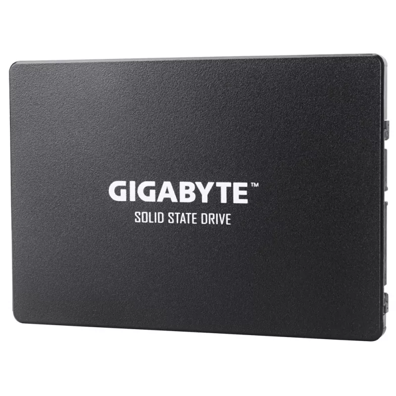 GIGABYTE GP-GSTFS31100TNTD unità a stato solido interna 1 TB 2,5 pollici Serial ATA