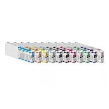 Cartuccia d'inchiostro Epson UltraChrome Pro 12 1 pezzo originale grigio