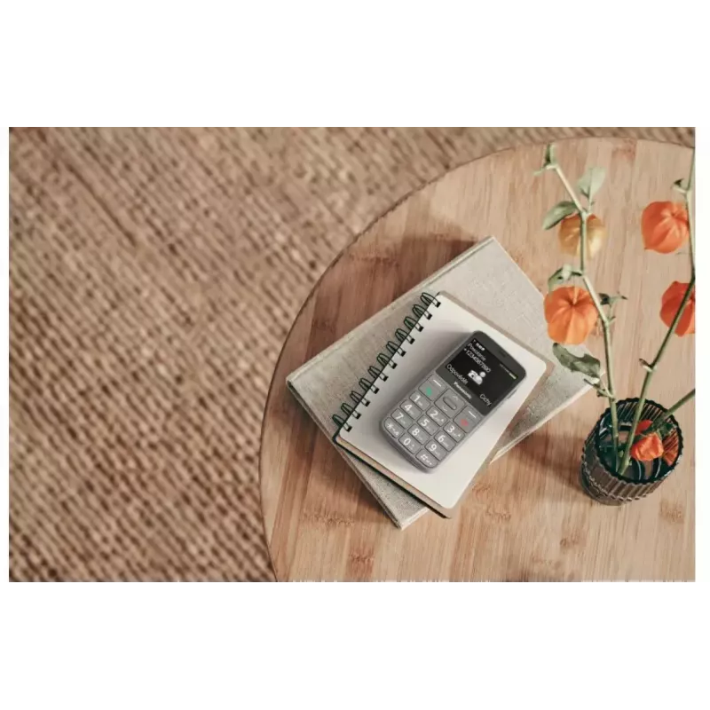 Telefono cellulare Panasonic KX-TU160 2,4 pollici