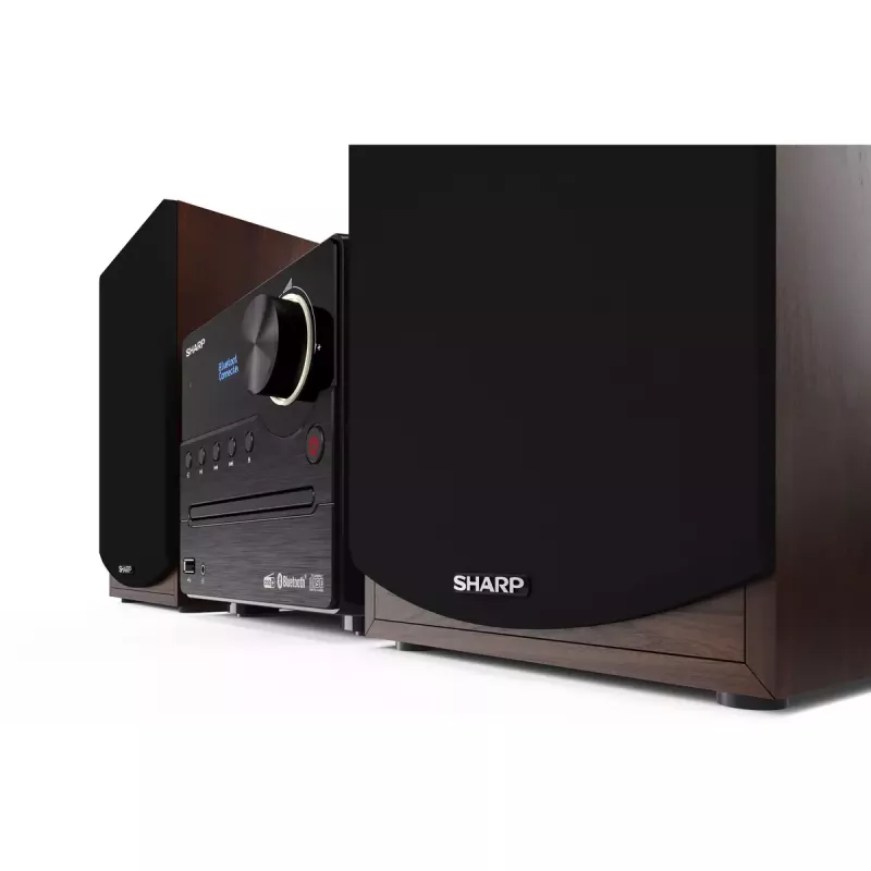 Sharp XL-B517D Microsistema audio domestico 45 W Marrone