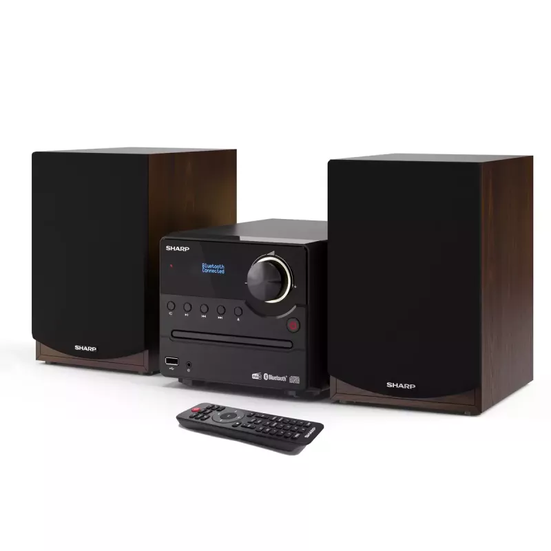 Sharp XL-B517D Microsistema audio domestico 45 W Marrone