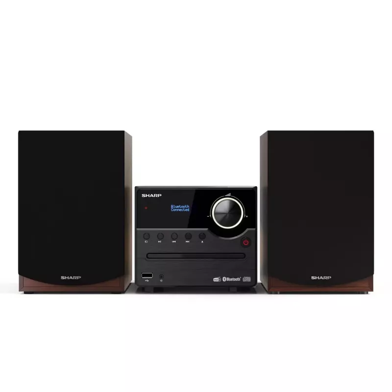 Sharp XL-B517D Microsistema audio domestico 45 W Marrone