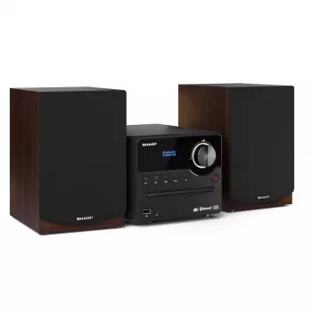 Sharp XL-B517D Microsistema audio domestico 45 W Marrone