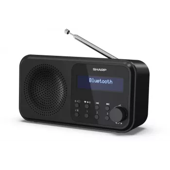 Sharp DR-P420(BK) Tokyo Radio digitale portatile, Portatile, Digitale, DAB, DAB+, FM, Auto-Scan, Auto-Tuning, 2 W, AAC