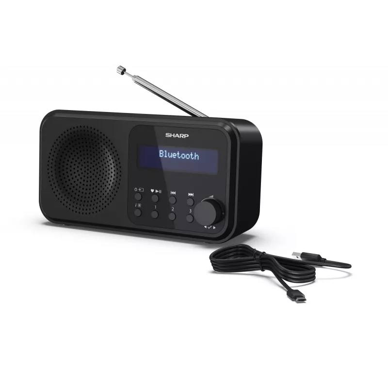 Sharp DR-P420(BK) Tokyo Radio digitale portatile, Portatile, Digitale, DAB, DAB+, FM, Auto-Scan, Auto-Tuning, 2 W, AAC