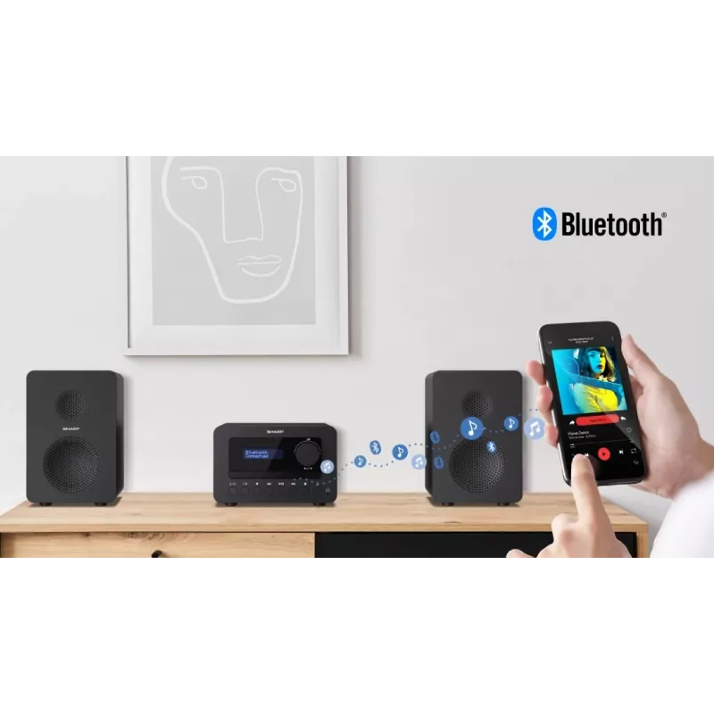 Sharp TOKYO DAB+ HI-FI Micro System Micro sistema audio domestico 40 W Nero