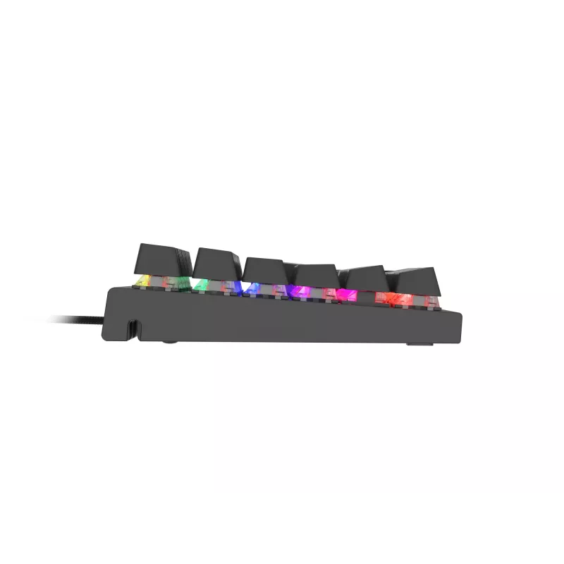 GENESIS Thor 303 tastiera gaming USB QWERTY US International nera