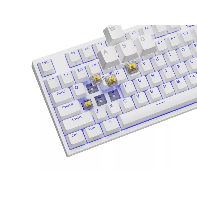 GENESIS Thor 404 TKL tastiera Gaming USB QWERTY US International bianco