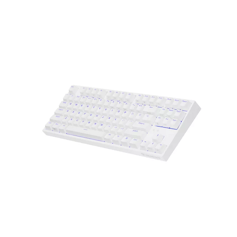 GENESIS Thor 404 TKL tastiera Gaming USB QWERTY US International bianco