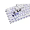 GENESIS Thor 404 TKL tastiera Gaming USB QWERTY US International bianco