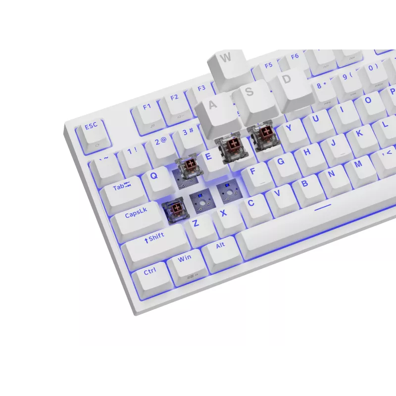 GENESIS Thor 404 TKL tastiera Gaming USB QWERTY US International bianco