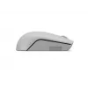 Mouse compatto wireless Lenovo Arctic Grey — ambidestro, RF Wireless, 1000 DPI, 3 tasti, a batteria
