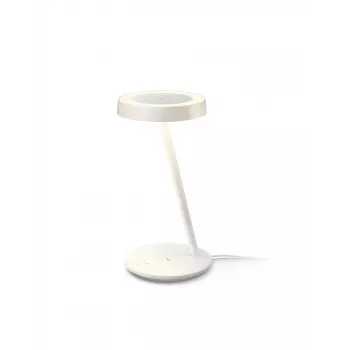 Lampada da tavolo intelligente wizarding world Portrait Desk Lamp — Wi‑Fi, luce variabile, 5V, 195×204×380 mm, bianco