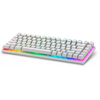 Alienware Pro Wireless Gaming Keyboard USB + RF Wireless + Bluetooth bianco