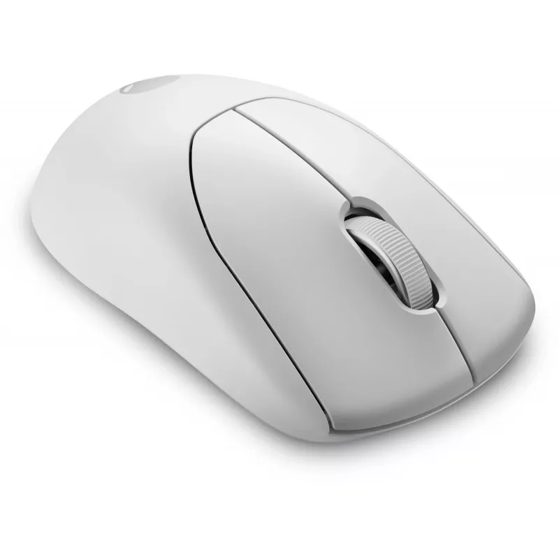 Alienware Pro Wireless Gaming Mouse Ambidestro RF Wireless + USB Type-C Ottico 26000 DPI