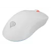 GENESIS Zircon XIII mouse gaming ambidestro RF Wireless + USB Type-C ottico 26000 DPI